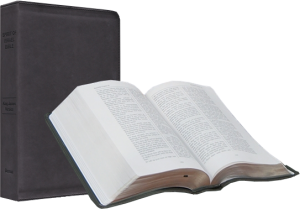 spirit-of-israel-bible