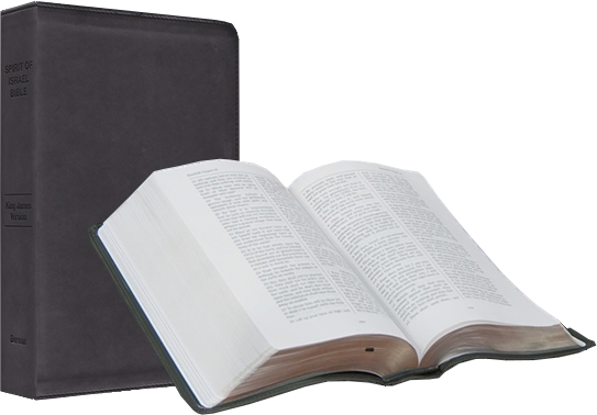 spirit-of-israel-bible