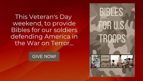 Veteran's Day banner